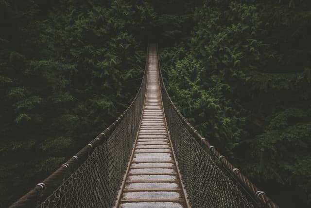 "The journey began many years ago in which a direct call to the soul placed us in this direction."