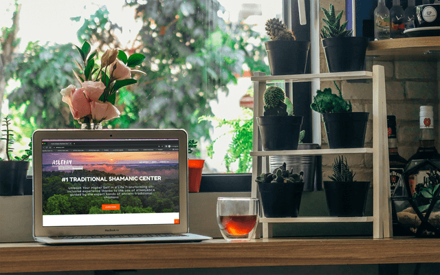 Aslepay Ambassador Program